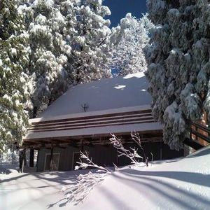 Meet your Posher, Vicky